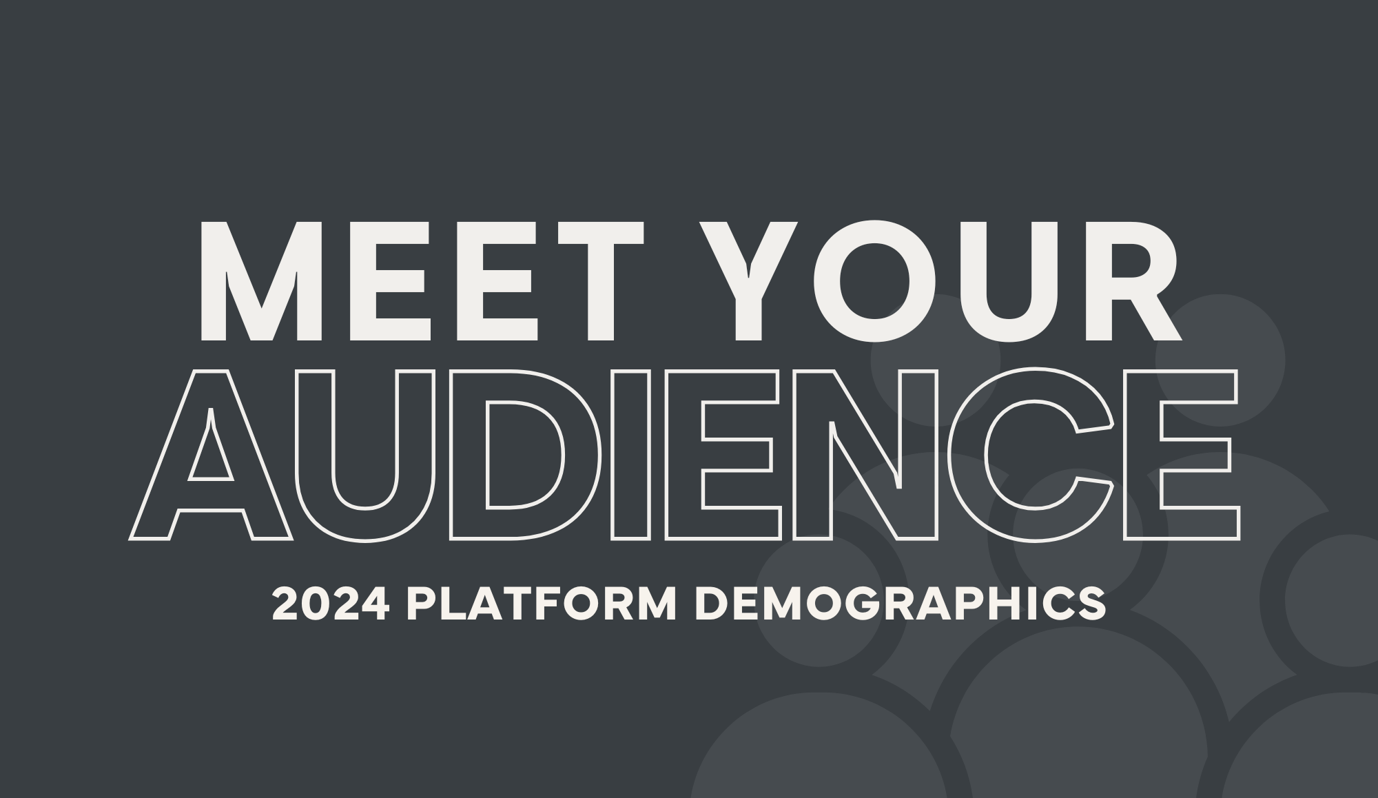 Meet Your Audience—Platform Demographics